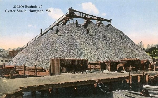 200, 000 bushels of Oyster Shells, Hampton, Virginia, USA