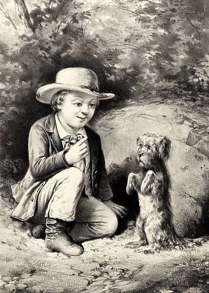 Boy with his pet dog