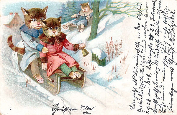 Cats on sleds in the snow on a postcard