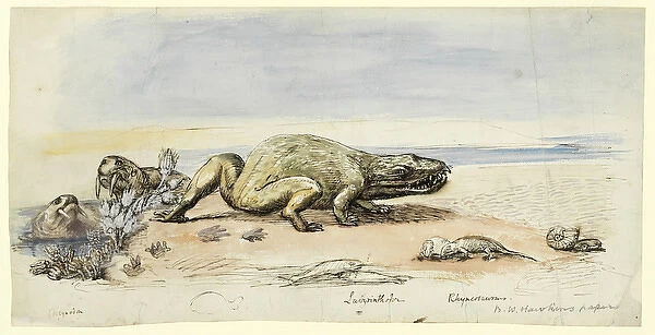 Dicynodon, Labyrinthodon, Rhynchosaurus
