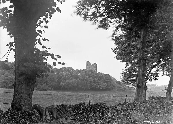 Distant view of Audleys Castle, Strangford
