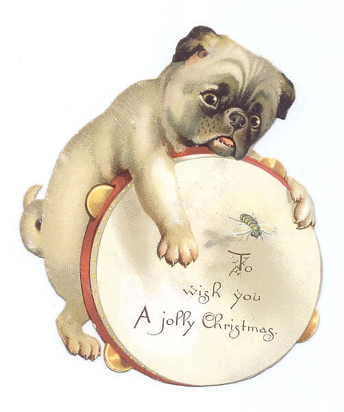 Dog with tambourine on a cutout Christmas card