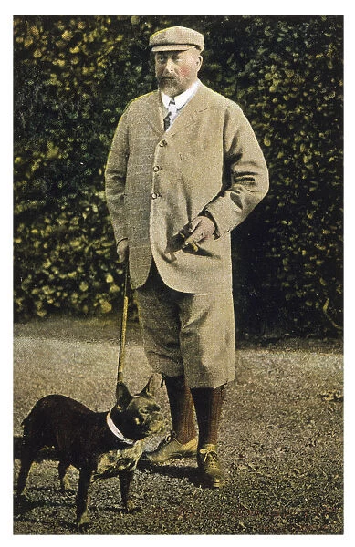 Edward VII and Bulldog