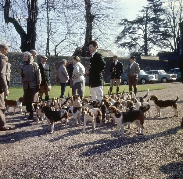 Fox Meet, Surrey 1960S