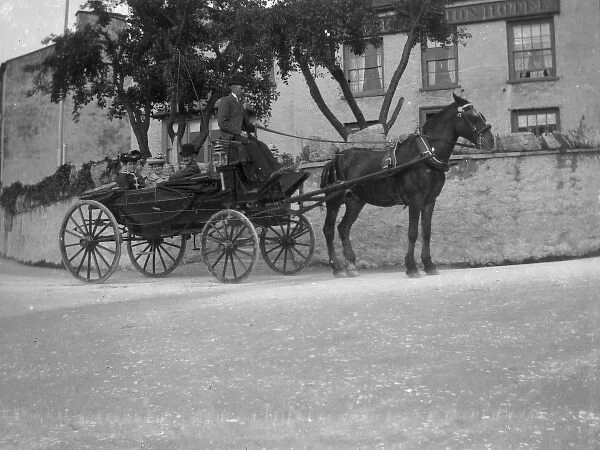 Horse and carriage, St Davids, Pembrokeshire, South Wales