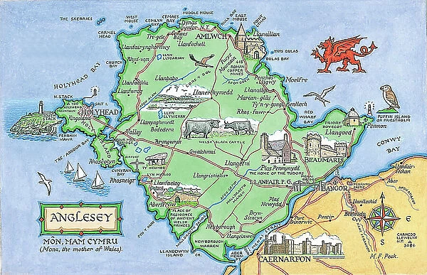 Map by M. F. Peck - Anglesey
