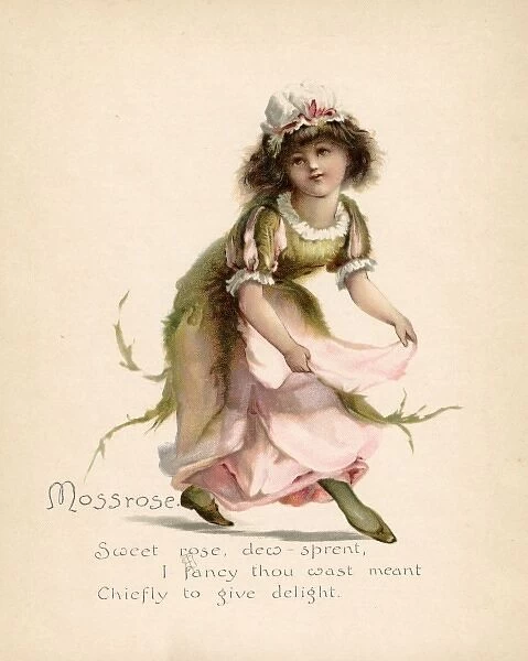 Mossrose  /  Language of Flowers