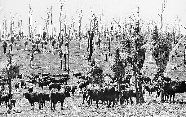 Perth Darling Downs Western Australia before 1900