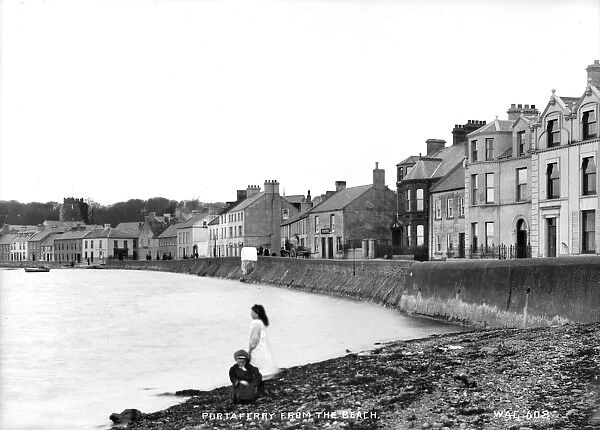 Portaferry from the Beach