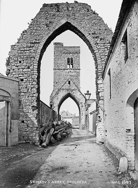 St. Marys Abbey, Drogheda
