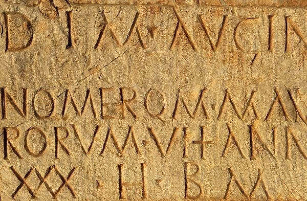 Tombstone. Nablus, Palestine. Roman art. 2nd-3rd century AD