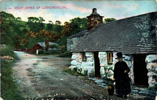 The Village, Llanuwchllyn, Merionethshire
