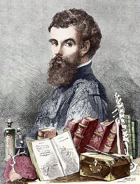Andreas Vesalius, Belgian anatomist