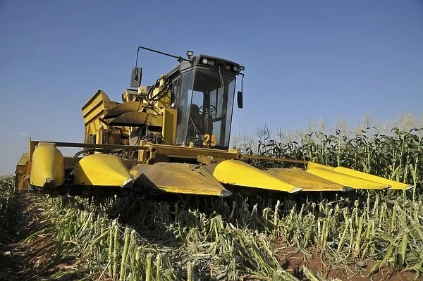 Corn picker in a field C015  /  4179