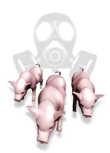 Swine flu protection, conceptual image