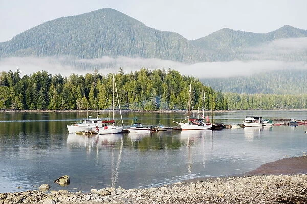 Boats moored at Tofino, Pacific Rim National Park Reserve, Vancouver Island