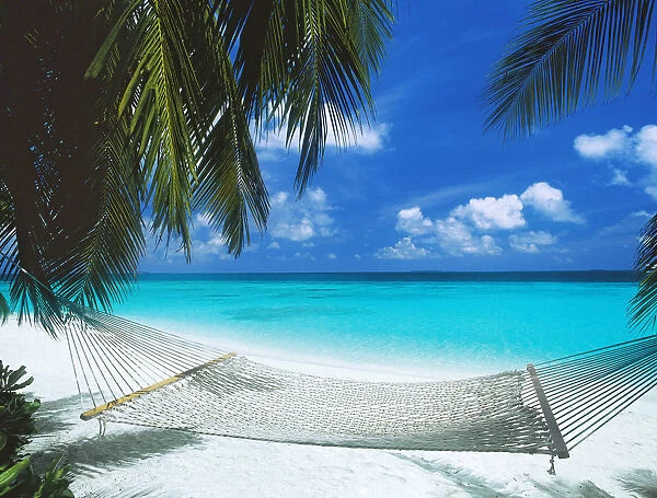 Desert island and hammock on the beach, Maldives, Indian Ocean, Asia