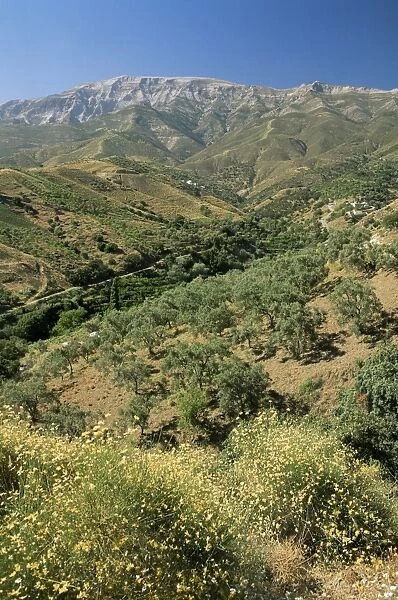 Landscape near Competa