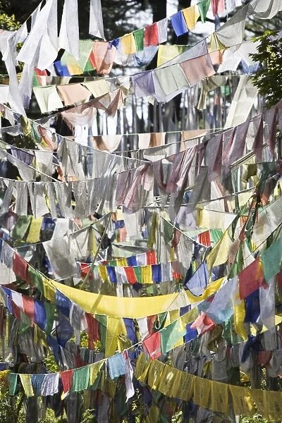 Prayer flags, Druk Wangyal Chorten, Bhutan, Asia