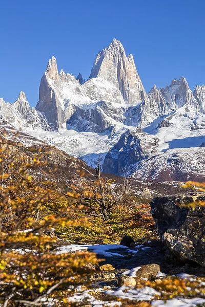 Argentina, Patagonia, Santa Cruz Province, Los Glaciares National Park, trees with autumn