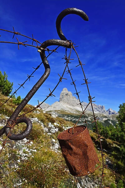 Barbed wire with old tin cans with bullet holes, 1st World War Freilichtmusem, Monte