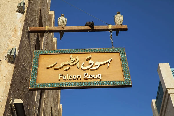 Qatar, Doha, Falcon Souq at Souk Waqif