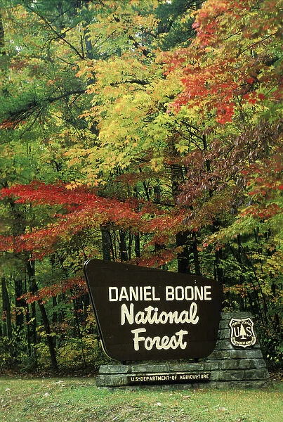 Forest service sign for Daniel Boone National Forest, Red River Gorge, Kentucky