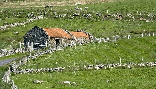 Ireland, County Mayo, Barnabaun Point. Irish countryside with stone wall and red-roofed house