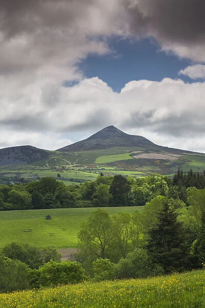 Ireland, County Wicklow, Enniskerry, Powerscourt Estate, landscape with Great Sugarloaf
