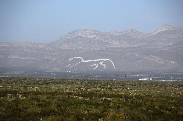 Mexico, Chihuahua. Giant white horse painted on mountainside at Mexico  /  New Mexico