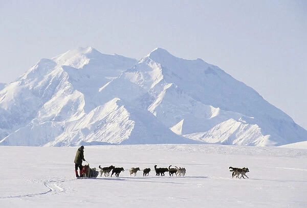 USA, Alaska, Sled Dogs, Park Ranger, Mount McKinley, Denali National Park