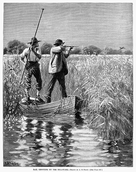 BIRD SHOOTING, 1890. Rail Shooting on the Delaware. Line engraving, 1890, after a drawing by Arthur Burdett Frost