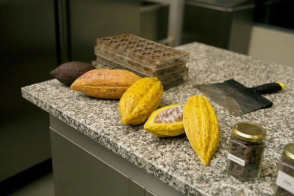 Cacao beans, chocolate molds, and cutting tool on kichen worktop