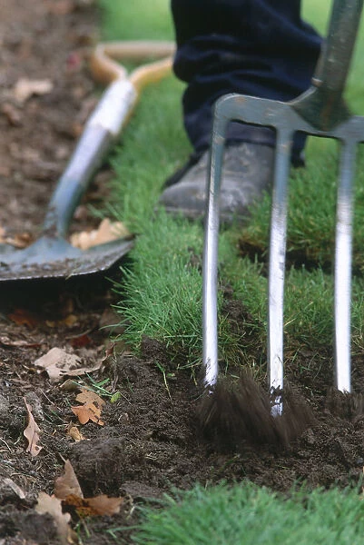 Garden fork digging into soil at the edge of lawn, spade on the ground in the background, close up