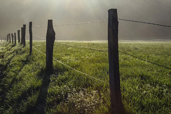 Fence in Cades Cove at sunrise, Great Smoky Mountains National Park, Tennessee, USA