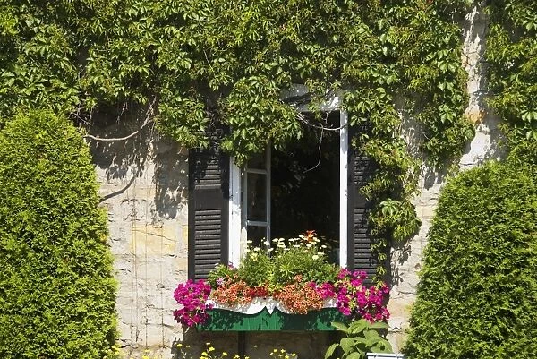 Window With Open Green Shutters And Flowers In A Windowbox
