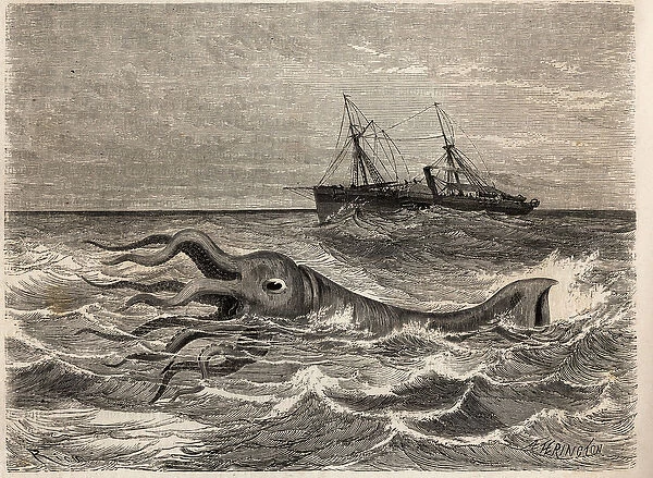 An 18-foot giant octopus (or squid), seen in the ocean forty leagues from Tenerife (Spain
