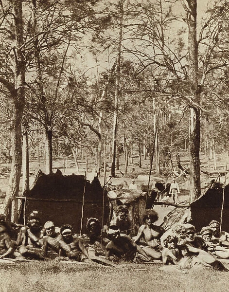 Australian Aborigines sheltering behind a windbreak (b  /  w photo)