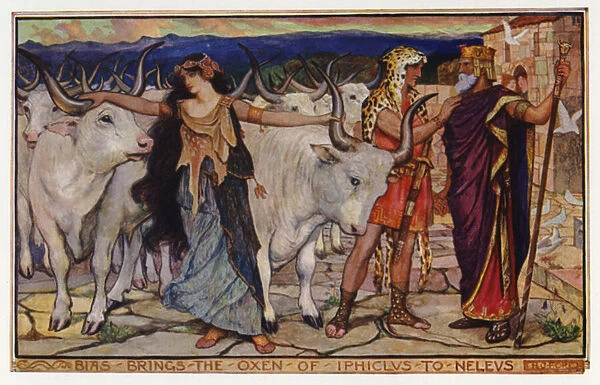 Bias brings the oxen of Iphiclus to Neleus (colour litho)