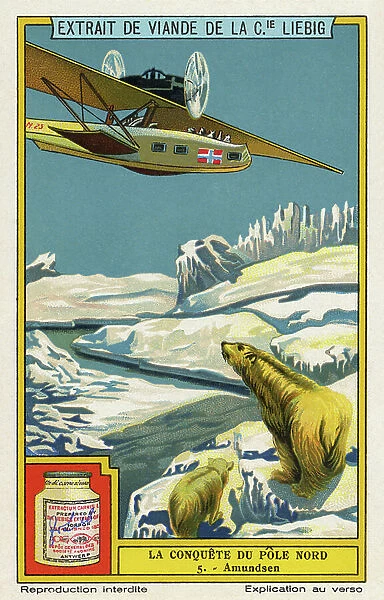 Conquest of the North Pole - Amundsen