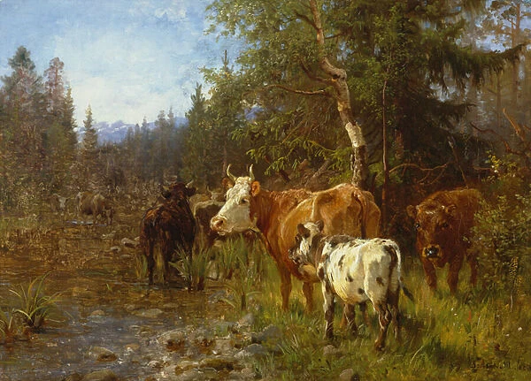 Cows by the water post