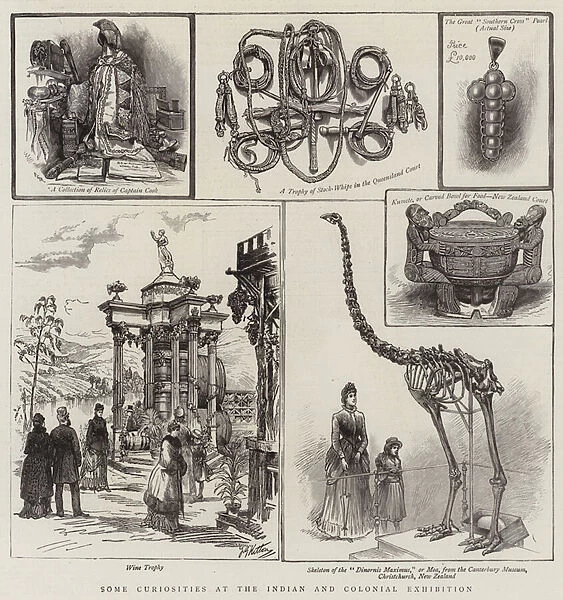 Some Curiosities at the Indian and Colonial Exhibition (engraving)