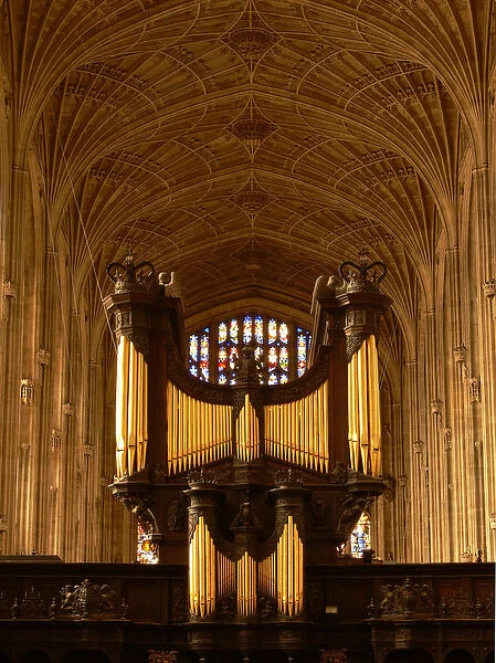 Depicting a view of the organ and the vaults