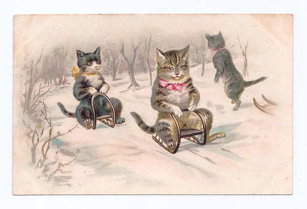 Edwardian postcard of two cats on sledges in the snow, c. 1910 (colour litho)