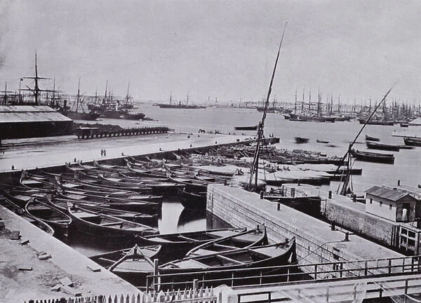 Egypt: General View of the Port of Alexandria (b  /  w photo)