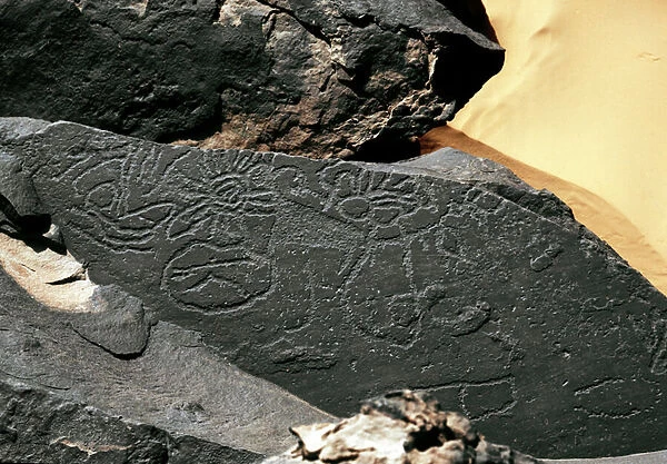 Forms in the style of Tazina. Stone Age 5000-2000 BC. (engraved rock)