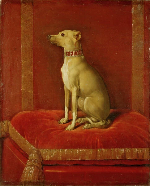One of Frederick IIs Italian greyhounds (oil on canvas)