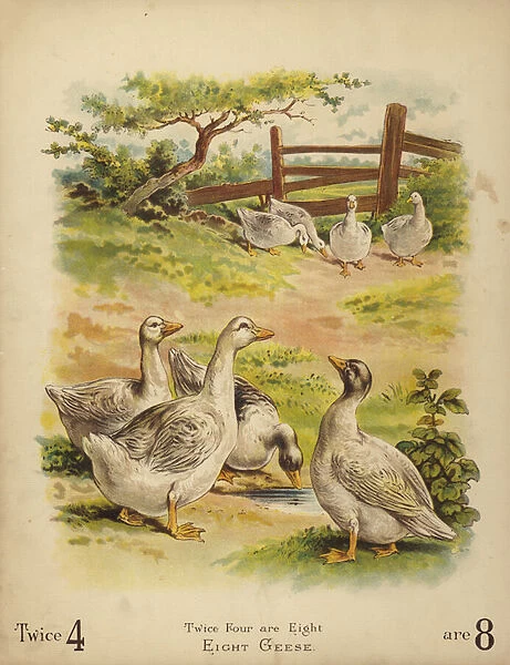 Eight Geese (chromolitho)