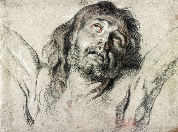 Head of Christ on the cross by Peter Paul Rubens (drawing)