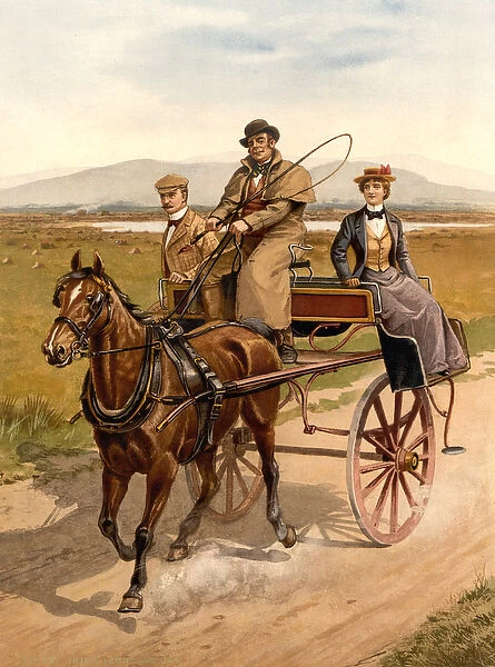 Irish jaunting car, c. 1890 (photomechanical print)